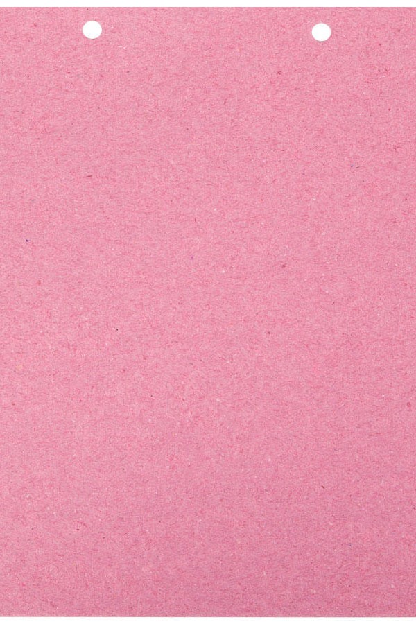 Alemdar Ara Kartonu Ayraç A5 100 Yaprak