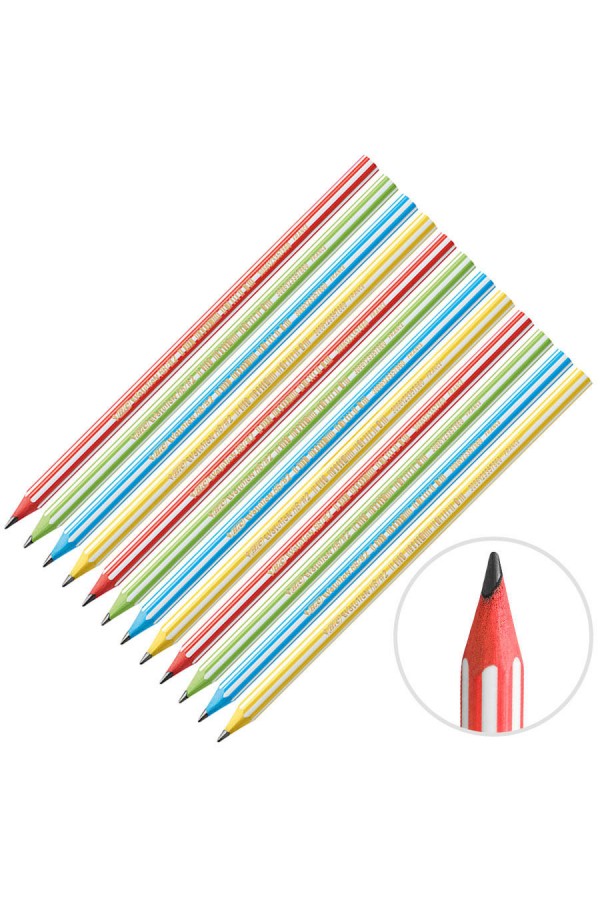 Bic Evolution 646 HB Kurşun Kalem 12'li Paket